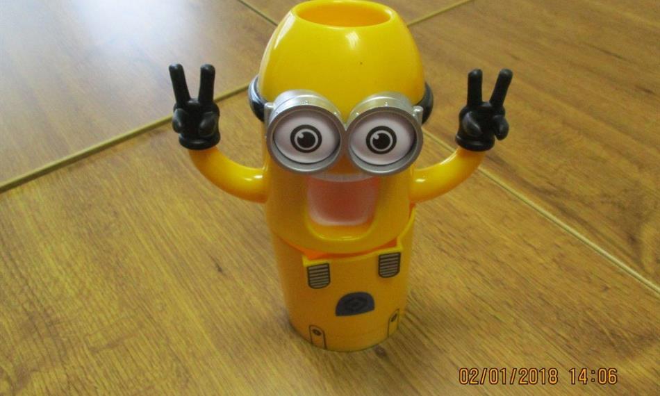 2018-1-11-1332Minions 3.jpg